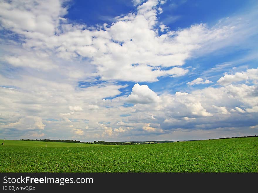 Green grass and blue sky. Green grass and blue sky