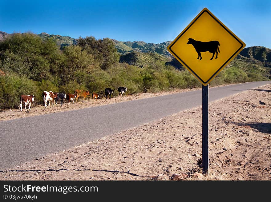 A bright yellow cow sign along a country road