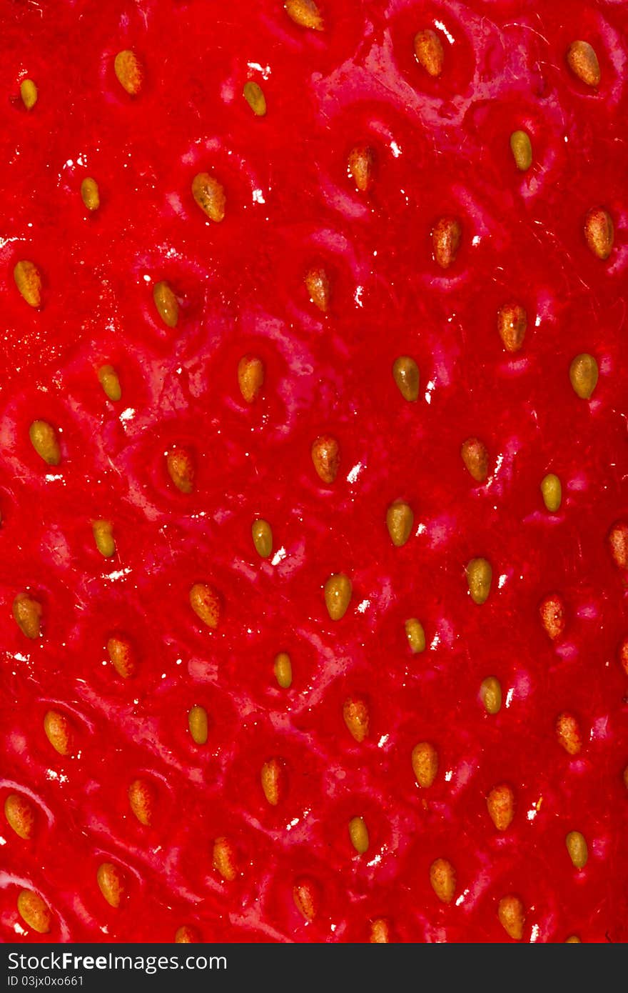 Strawberry macro close-up