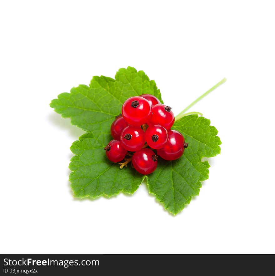 Bunch of red currant lies on a green leaf