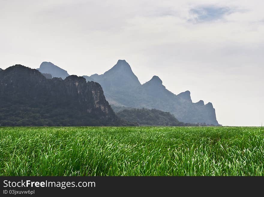 Green Filed and Rock Mountain