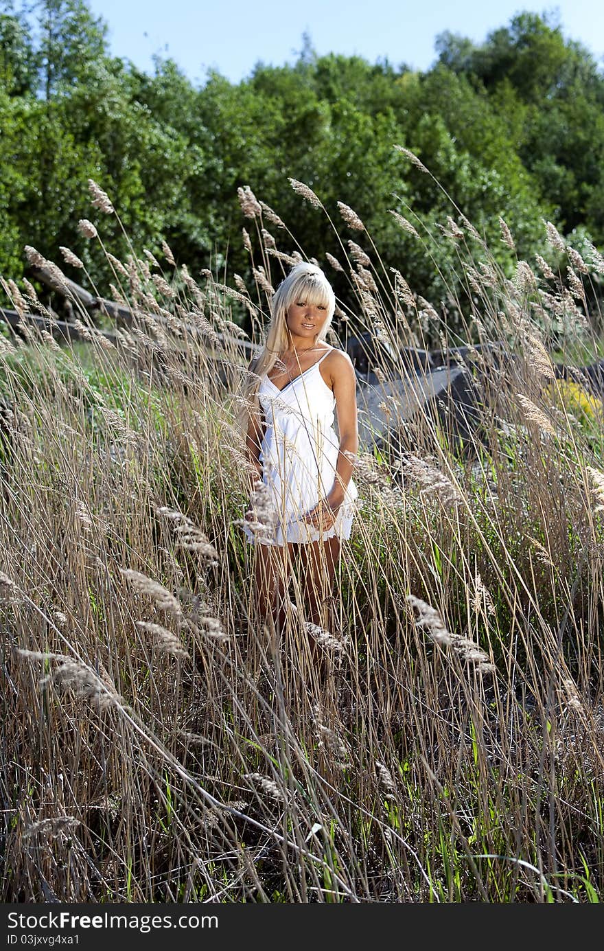 Girl in white dress are standing in dry grass at summer daylight. Girl in white dress are standing in dry grass at summer daylight