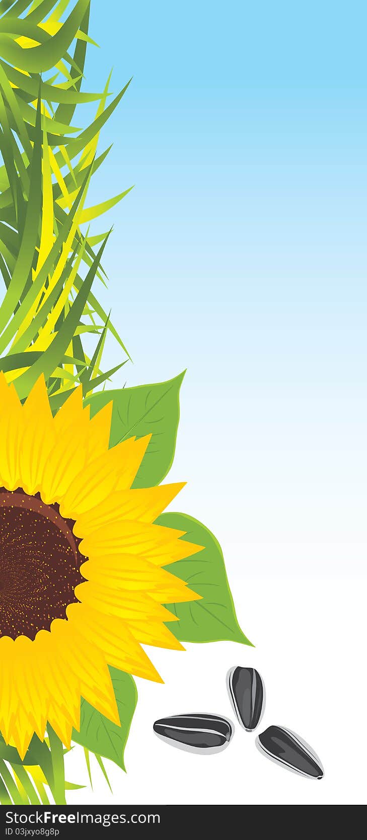 Sunflower with grass and pips. Banner