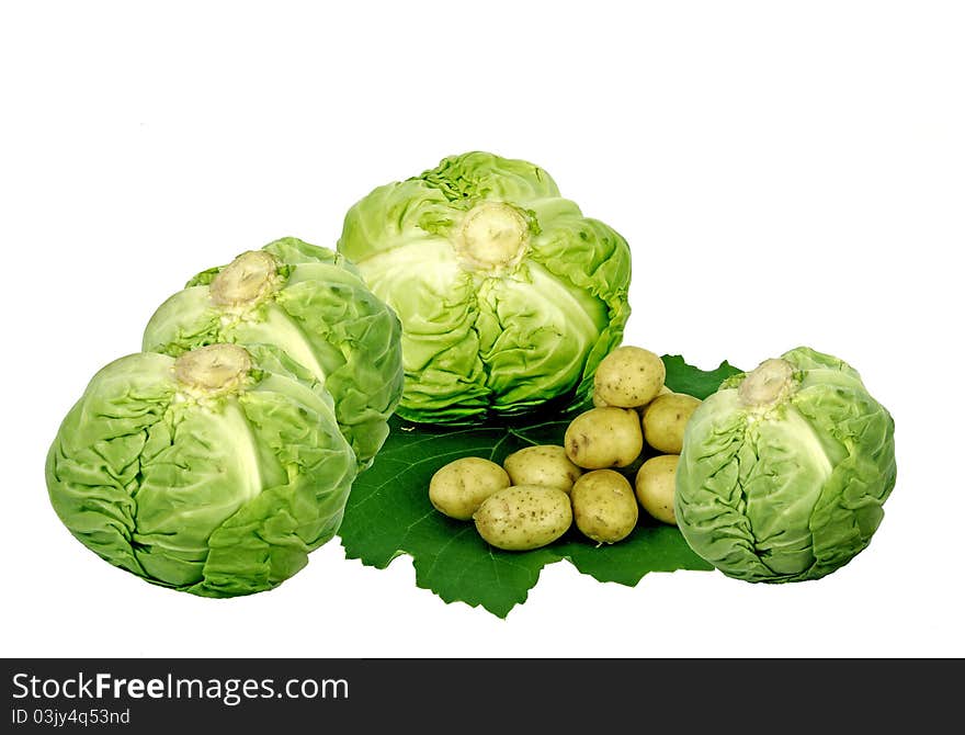 Four heads of cabbage and small group of a young potato. Four heads of cabbage and small group of a young potato.