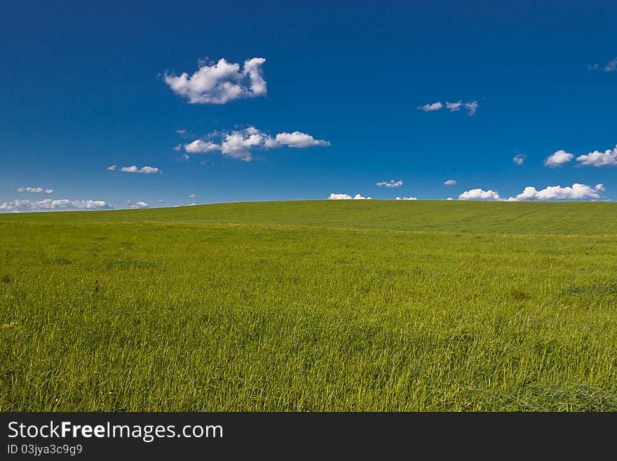 Russian field