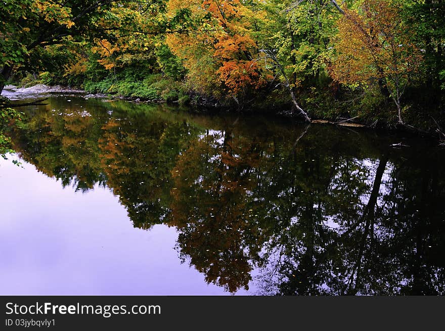 Fall Colors Reflected In A Creek