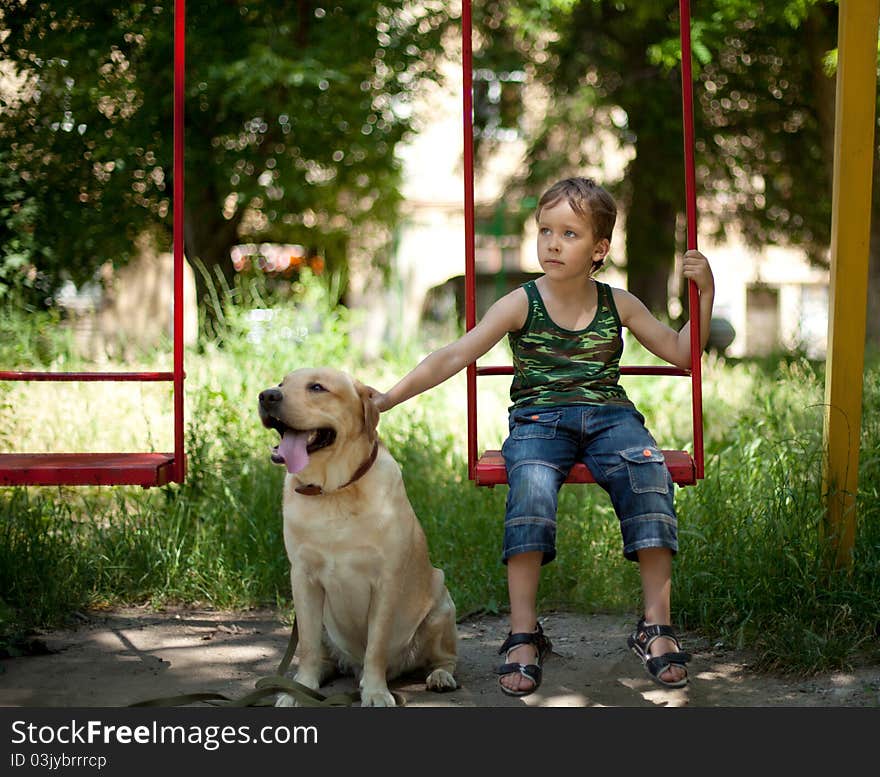 Little Boy Sitting On A Swing