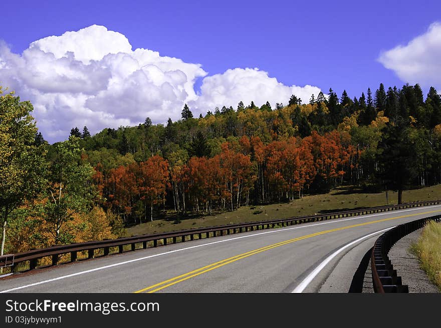 Fall colors and a two lane road