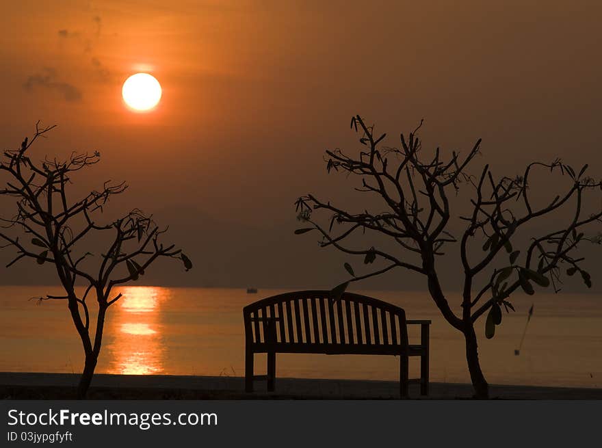 Silhouette of one chair and two trees at a beach at dawn. Silhouette of one chair and two trees at a beach at dawn