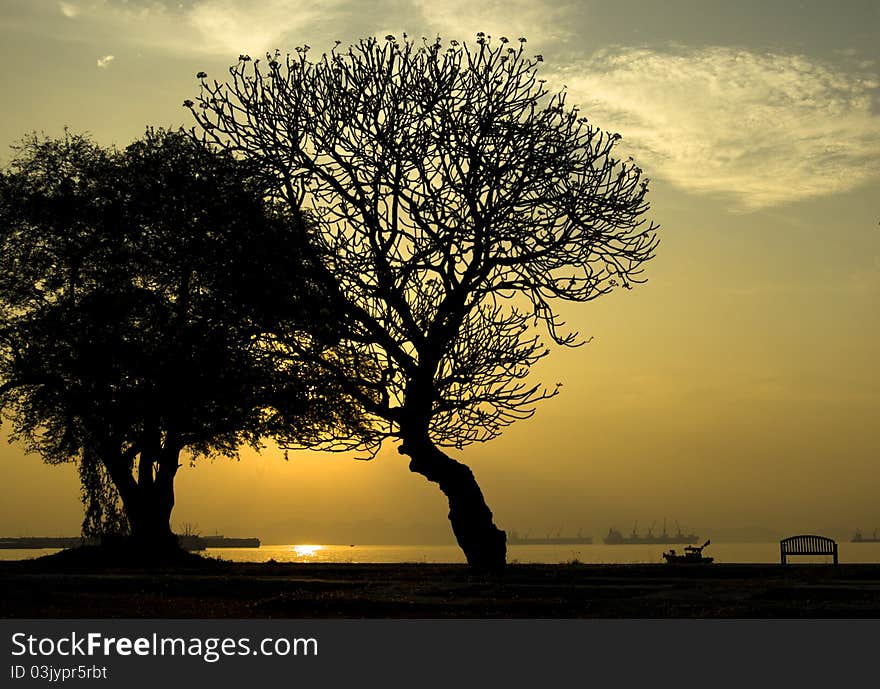 Silhouette of two trees leaning against each other at a beach in an early morning. Silhouette of two trees leaning against each other at a beach in an early morning