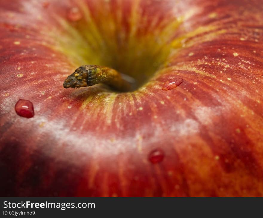 Apple Closeup