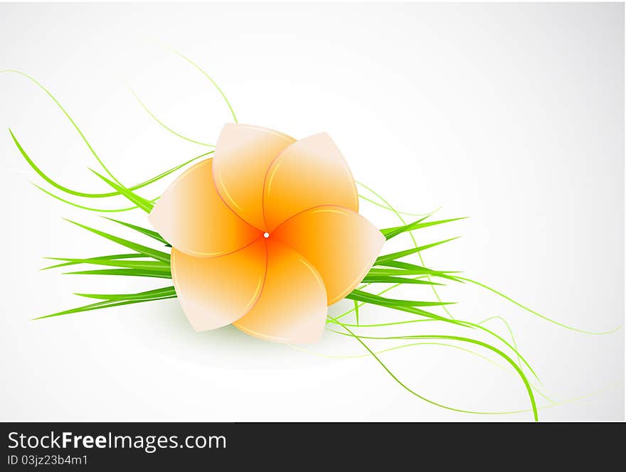 Abstract Beautiful Flower Background