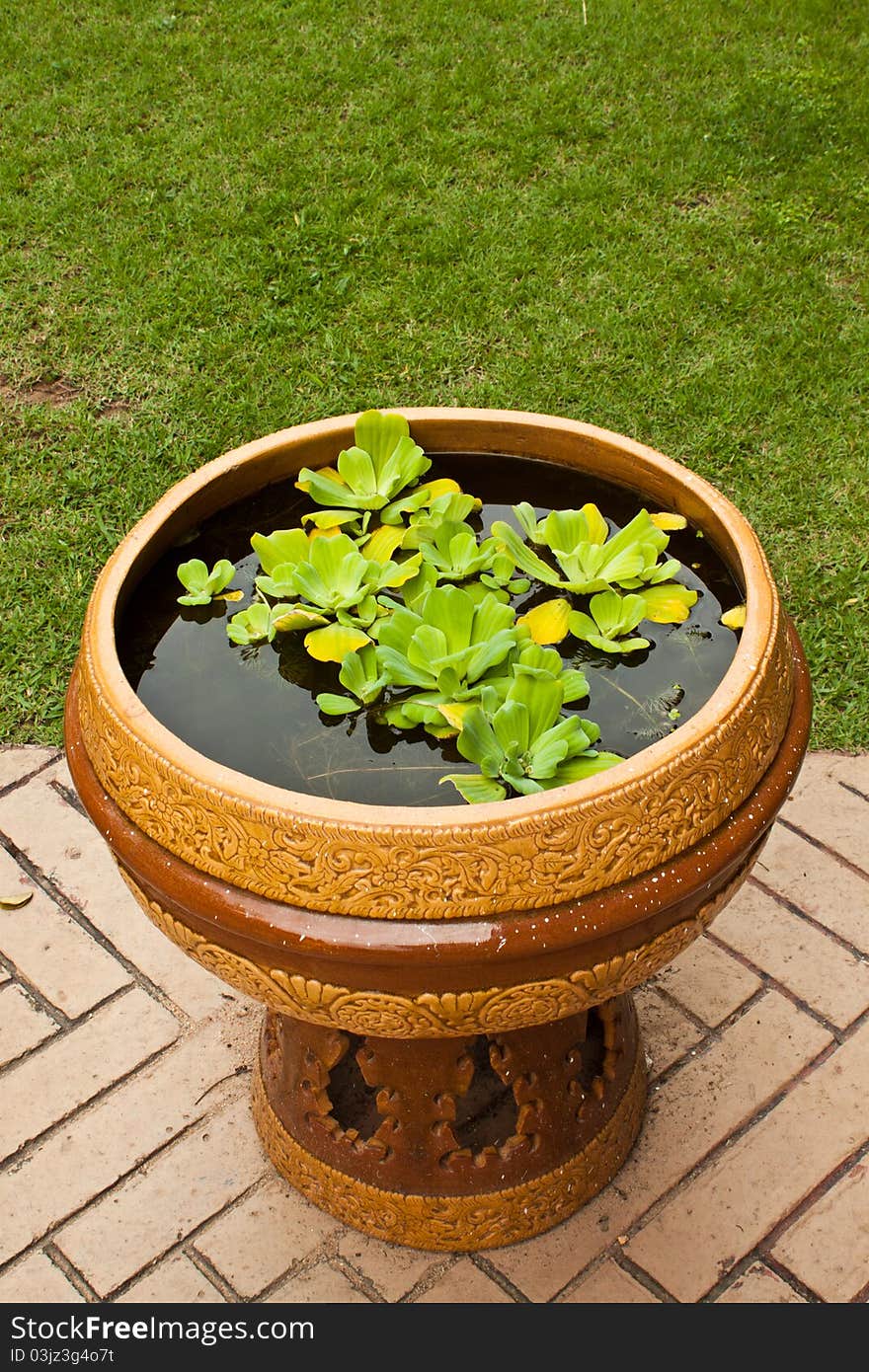 Flower pot is located on the beautiful green grass