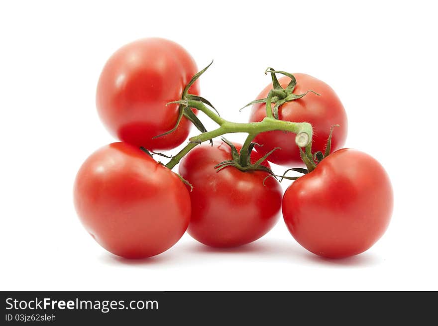 Tomatoes on a white background