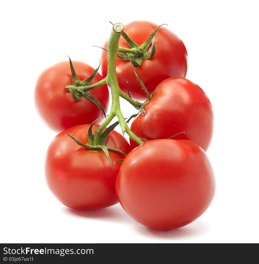 Tomatoes on a white background