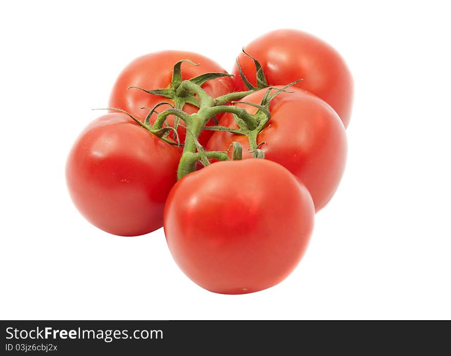 Tomatoes on a white background