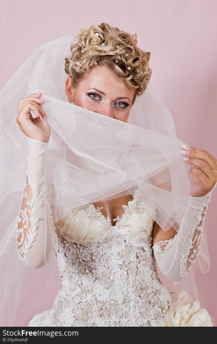 Portrait of the beautiful bride in studio on a pink background. Portrait of the beautiful bride in studio on a pink background