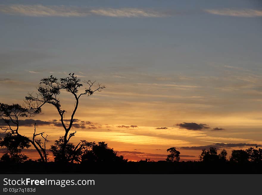 Cold sunset in the countryside