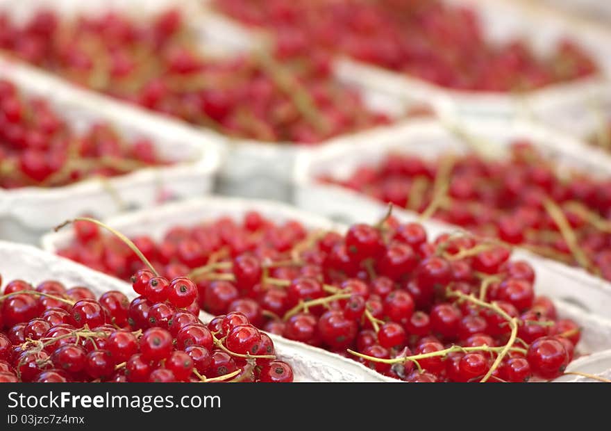 Fresh Red Currant At The Local Market