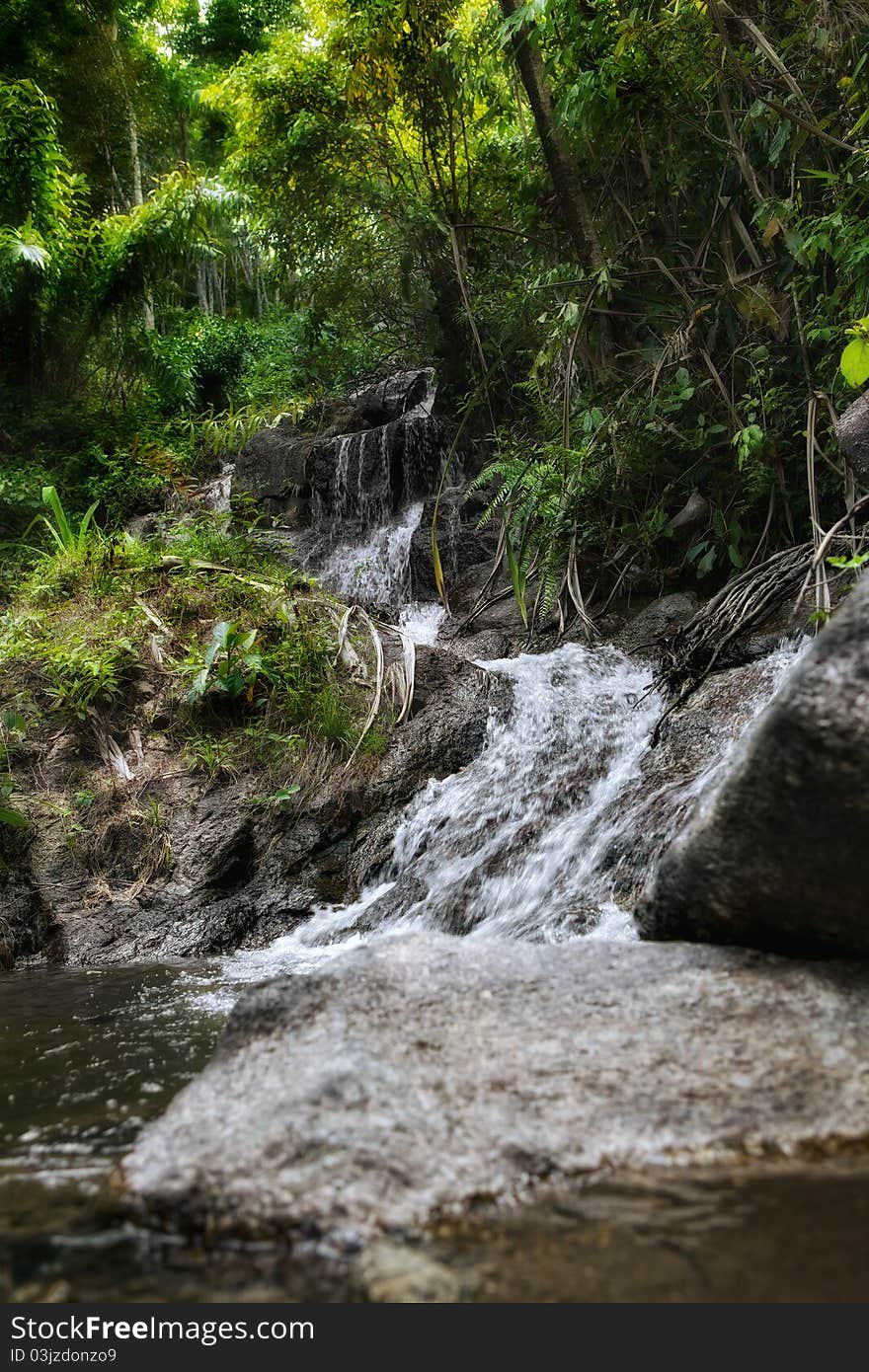 Panoramic view of nice tropic jungle and huge boulders. Panoramic view of nice tropic jungle and huge boulders