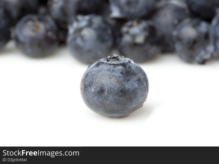 Fresh blueberries against a white background