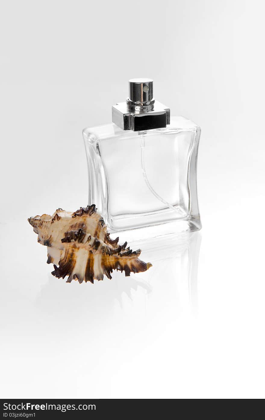 Perfume bottles seashell on white background. Perfume bottles seashell on white background