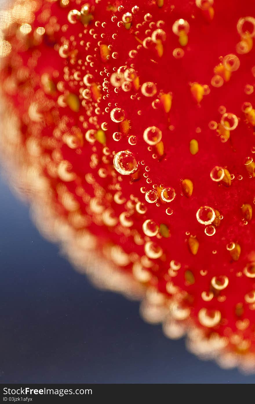 Strawberries In Water