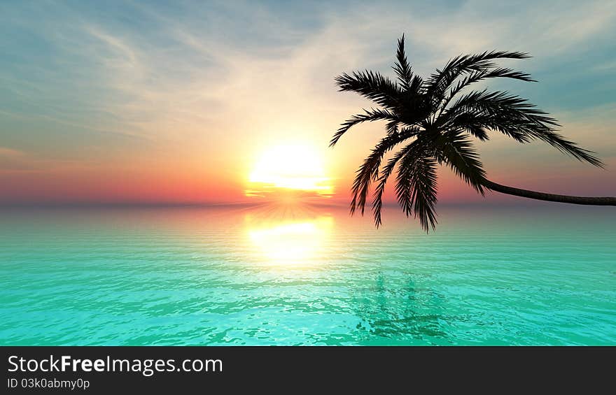 The horizon and palm tree