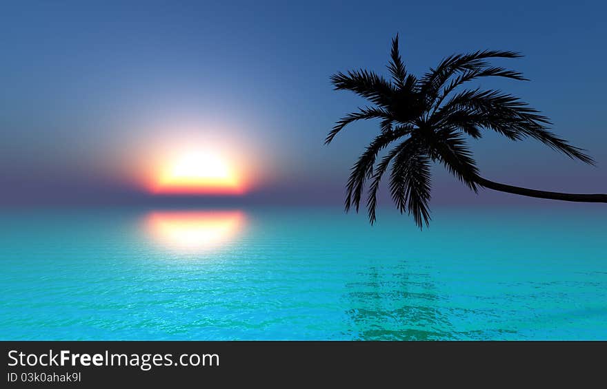 The horizon and palm tree