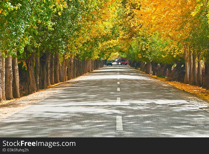 Autumn the shade of the beautiful scenery. Autumn the shade of the beautiful scenery