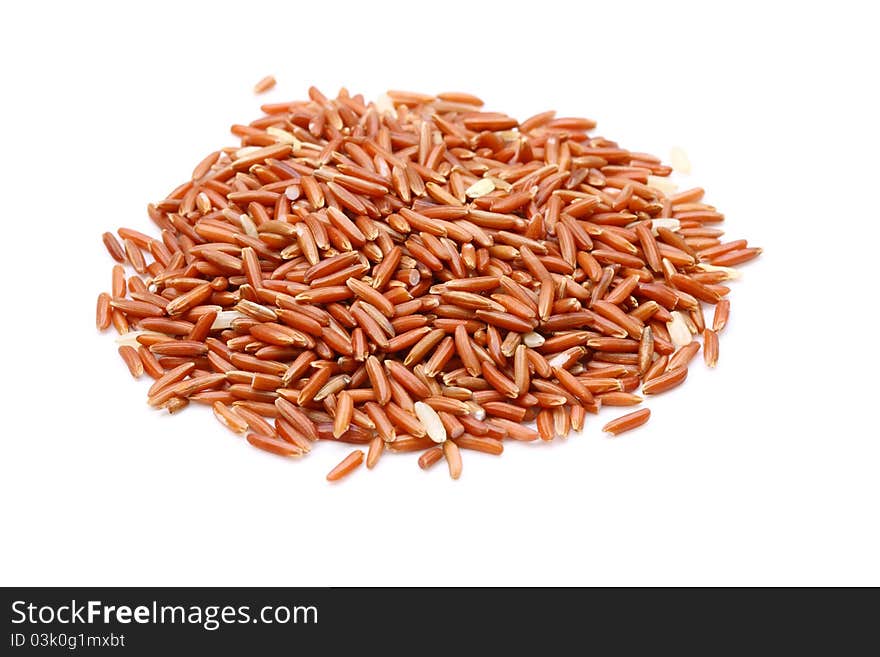 Rice Grain