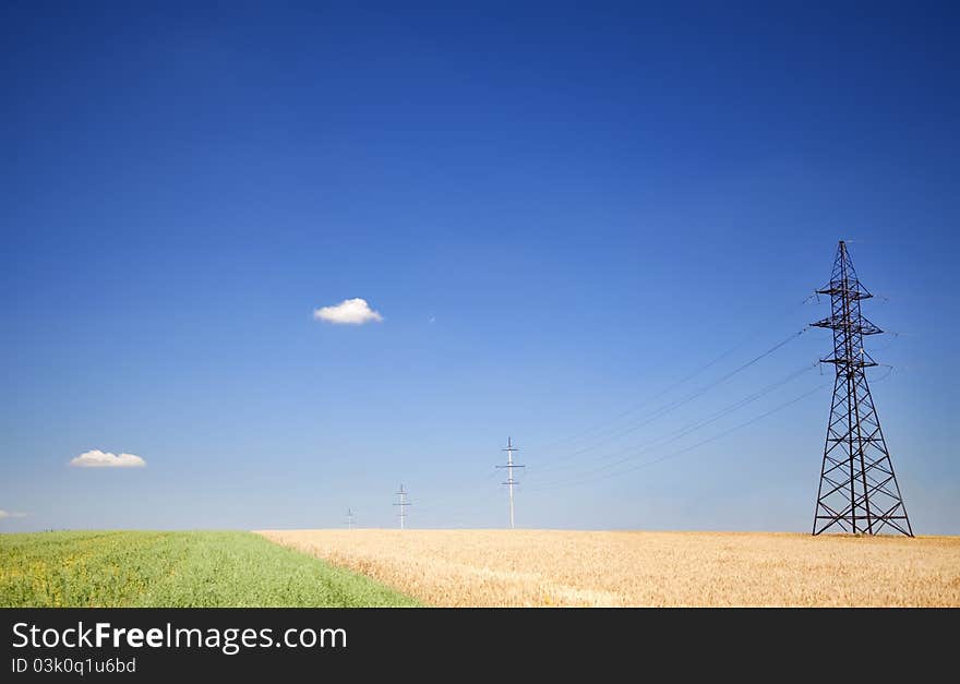 Electrical net of poles on a panorama of blue sky and wheat field. Electrical net of poles on a panorama of blue sky and wheat field