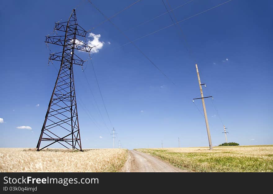 Electrical net of poles at wheat field