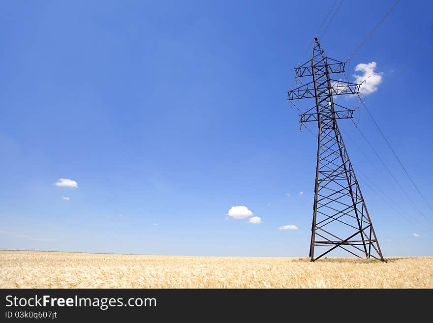 Electrical net of poles at wheat field