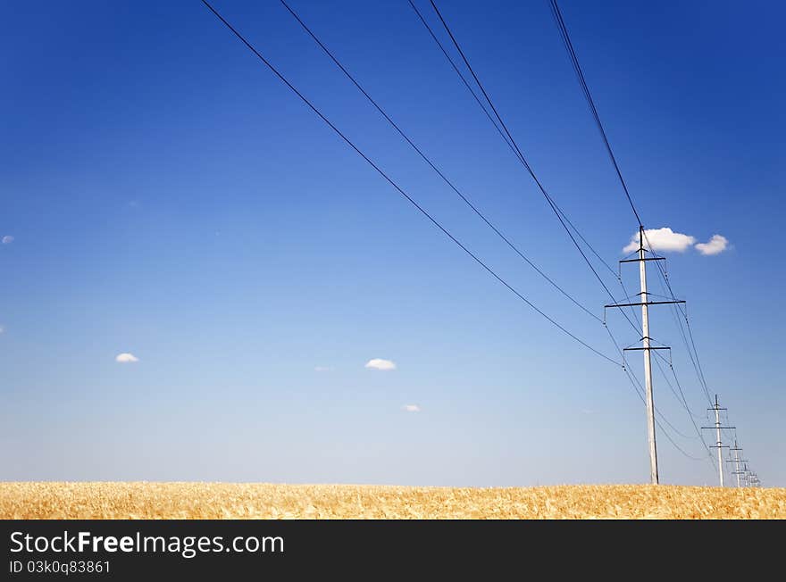 Electrical net of poles at wheat field