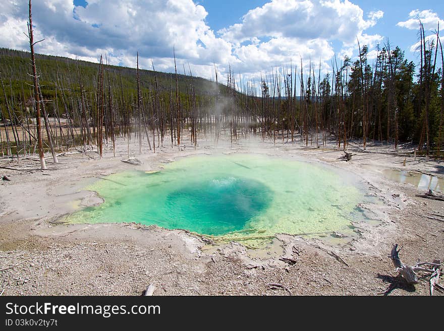 Emerald Spring in the Norris Geyser Basin