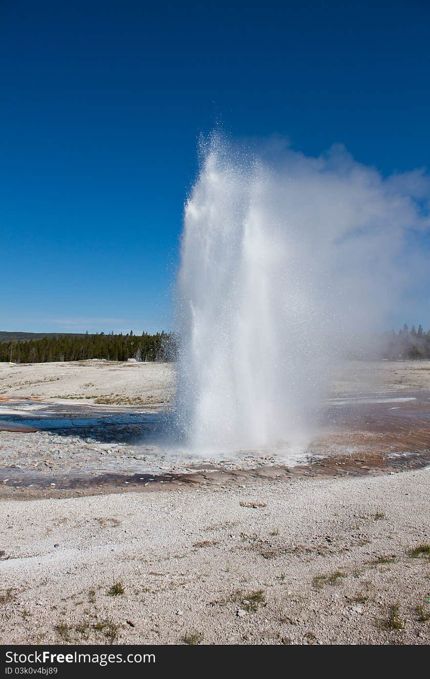 Geyser in Old Faithful Area of Yellowstone