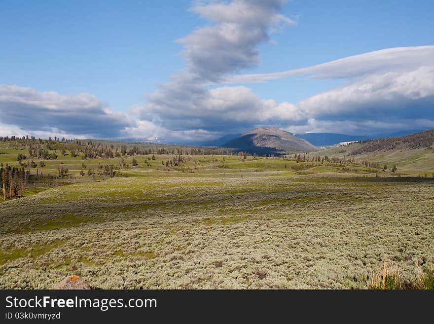 Lamar Valley in Yellowstone