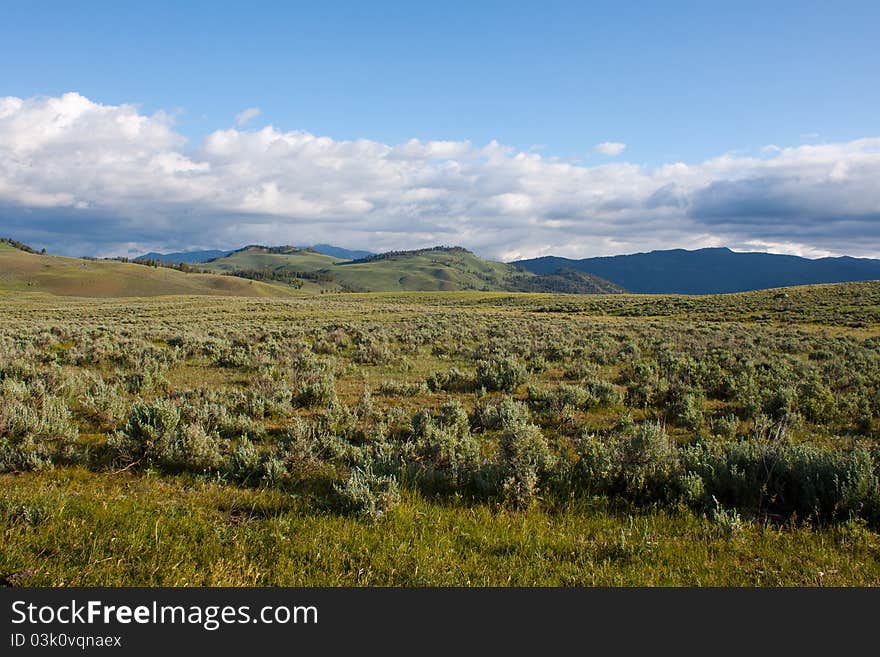 Lamar Valley in Yellowstone