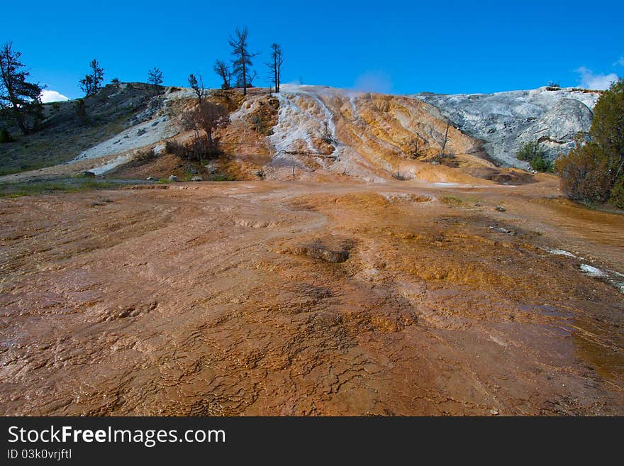 Travertine terrace, Mammoth Hot Springs, Yellowsto