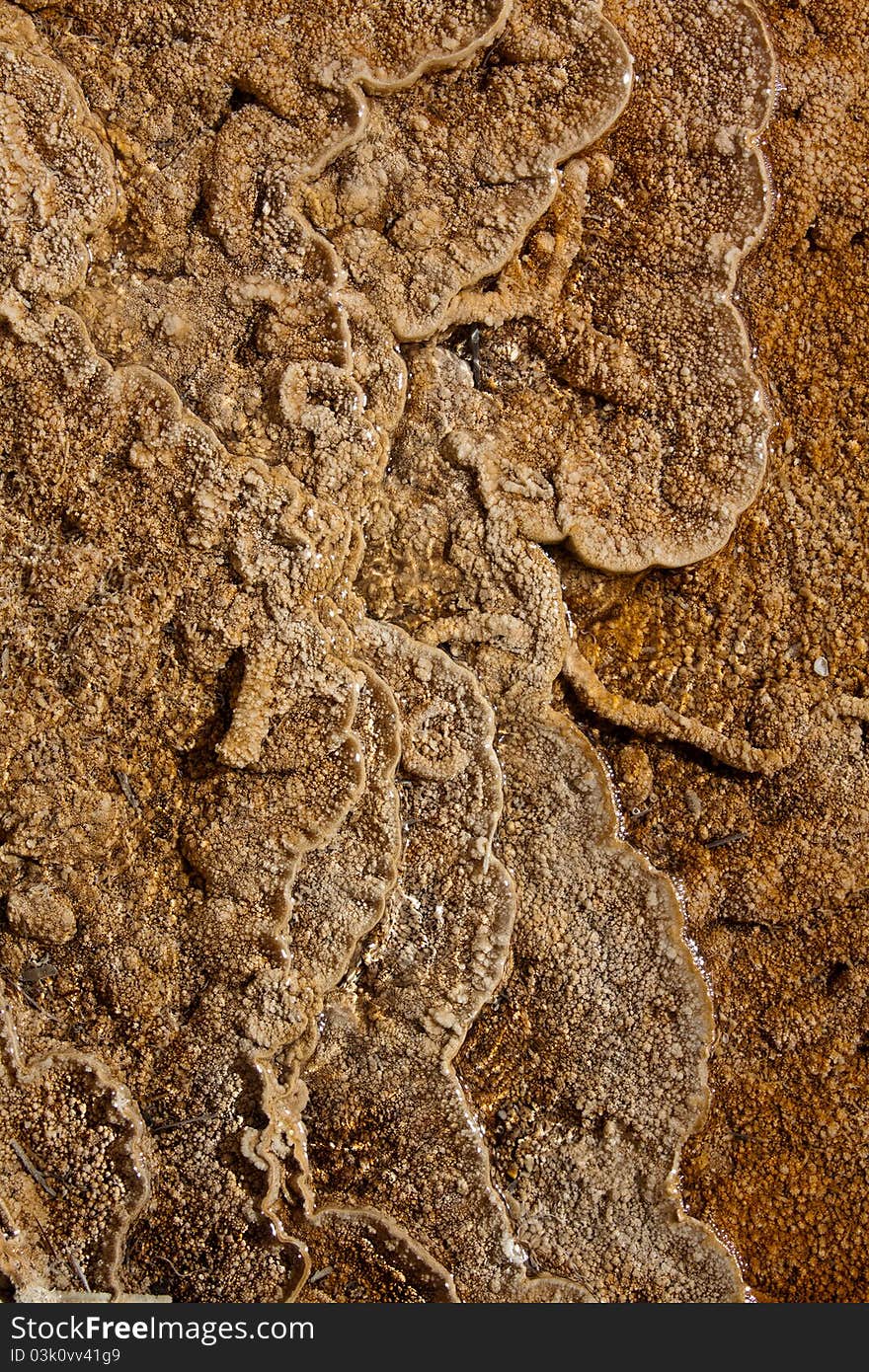 Pattern in the thermal pool of the geyser in WY