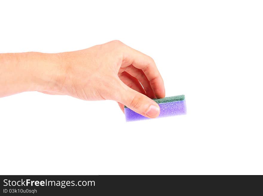 Purple sponge in the hand isolated on white background