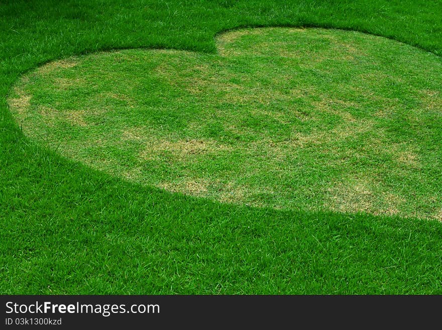 Image of fresh spring green grass ( Heart shape )