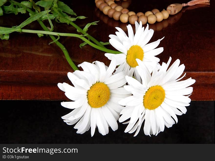 Three Chamomiles With Rosary