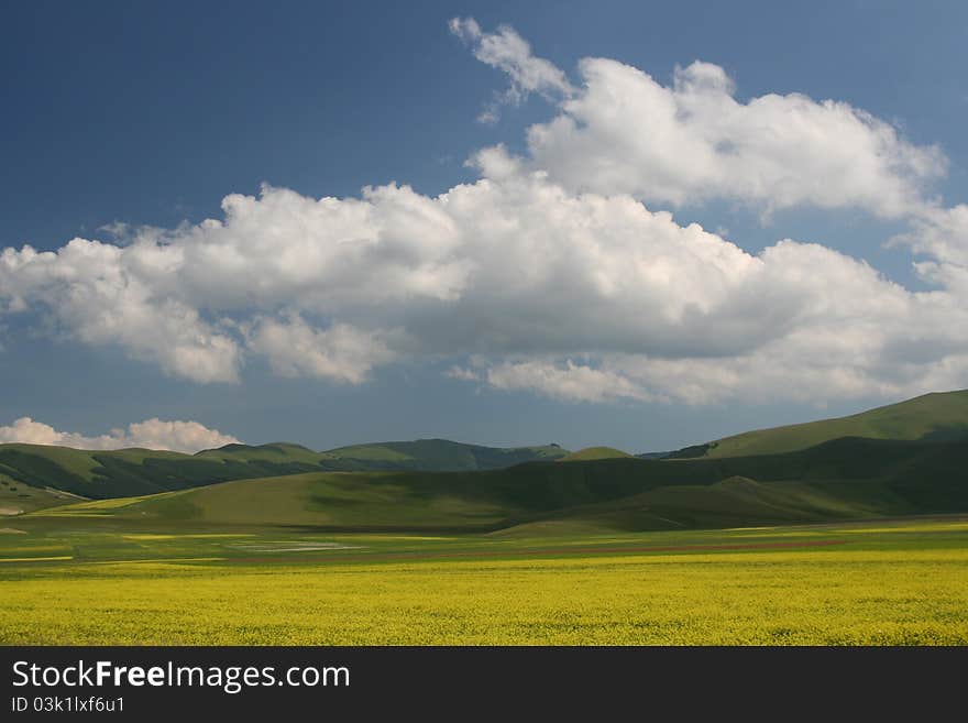 Summer landscape captured near Castelluccio di Norcia - Umbria - Italy. Summer landscape captured near Castelluccio di Norcia - Umbria - Italy