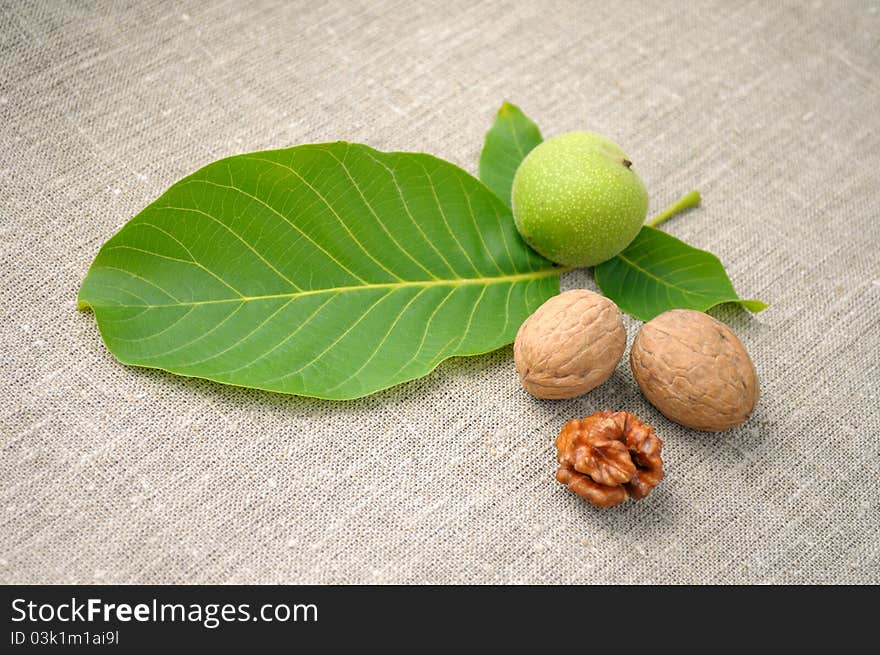 Walnuts with leaves on a background of rough cloth