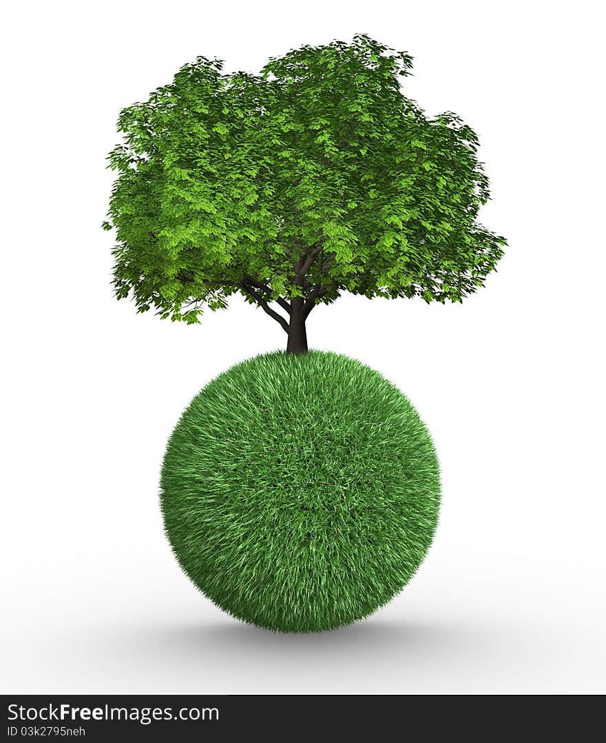 Tree growing on a sphere