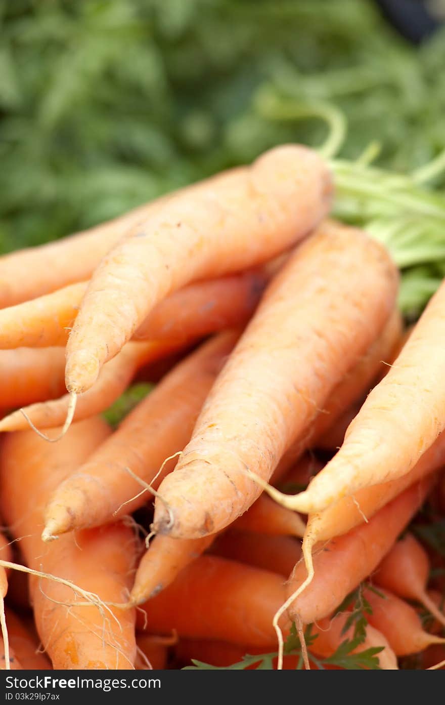 Fresh Carrots At The Local Market