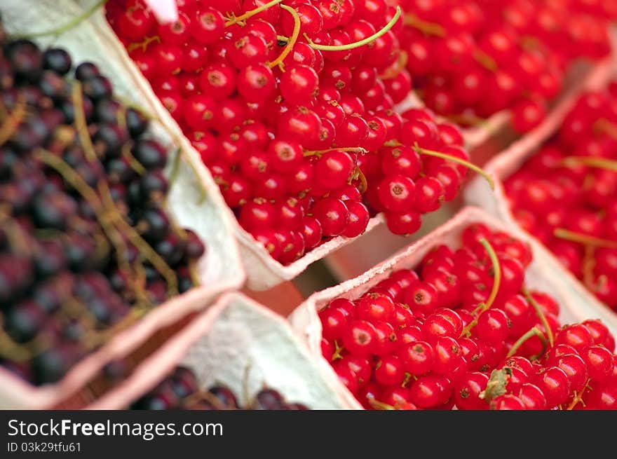 Red And Black Currants At The Local Market. Red And Black Currants At The Local Market