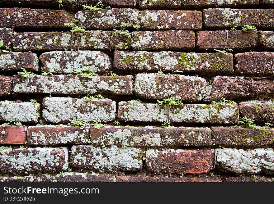 Old brick wall covered with moss